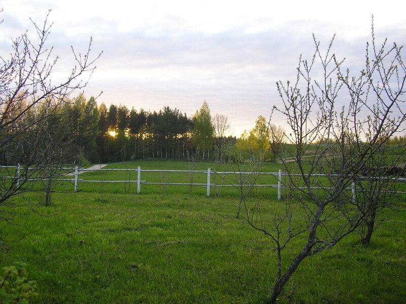 Green Field with Fence — Serene, Sunset, Photograph, Trees, Sun