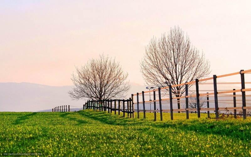 Green Field with Fence — Serene, Sunset