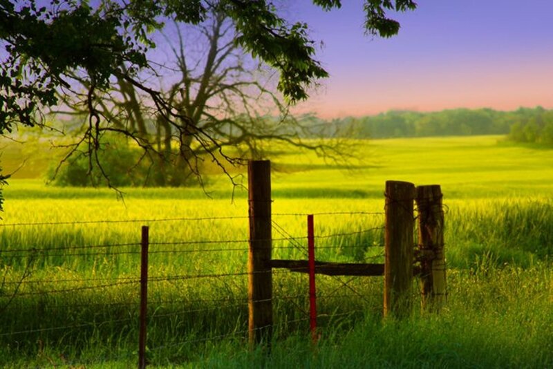 Green Field with Fence — Serene