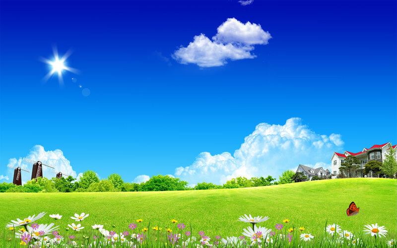 Green Field with Flowers — Blue, Serene, Afternoon, Photograph