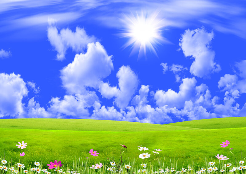 Green Field with Flowers — Blue, Serene