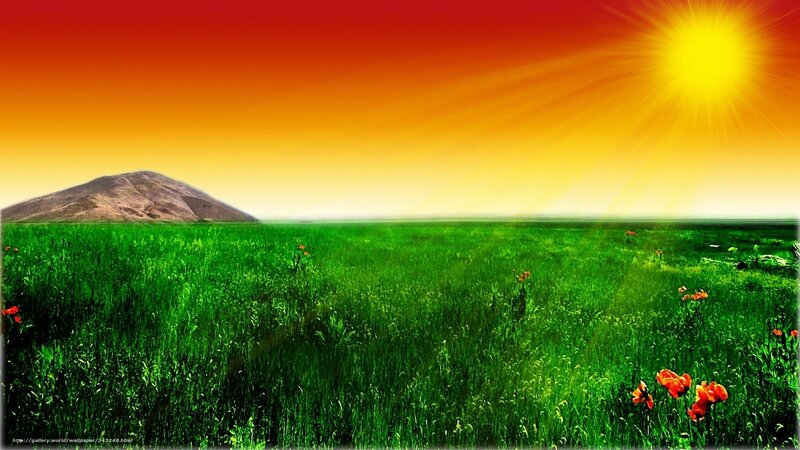 Green Field with Flowers — Serene, Sunset