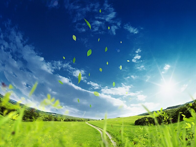 Green Field with Flying Leaves