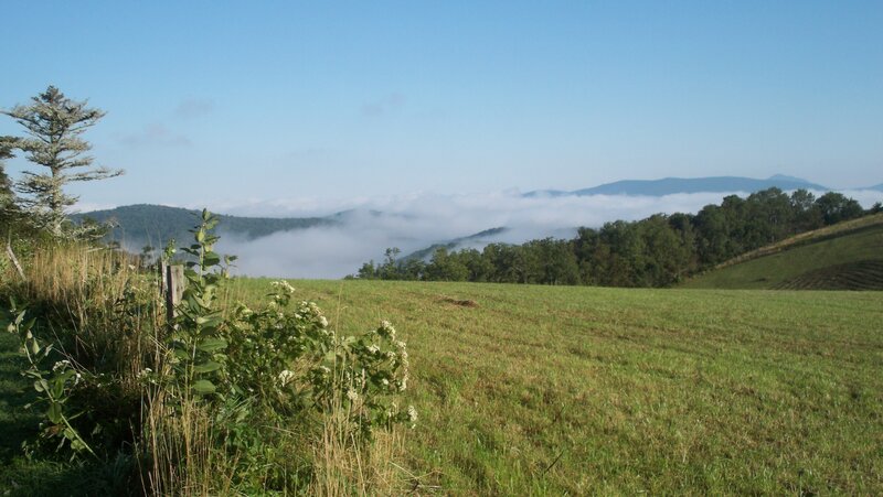 Green Field with Fog