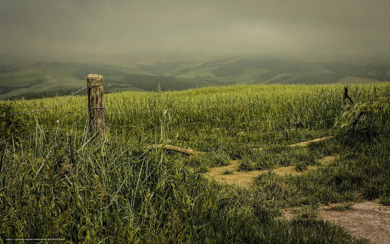 Green field with foggy hills