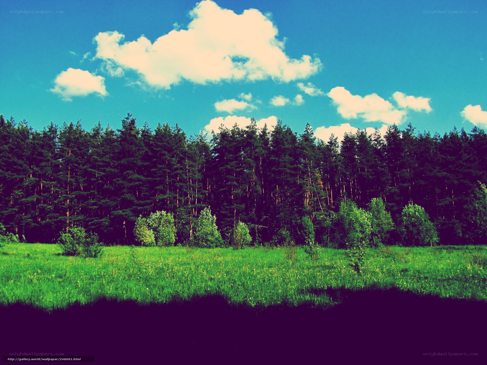 Green field with forest and clouds