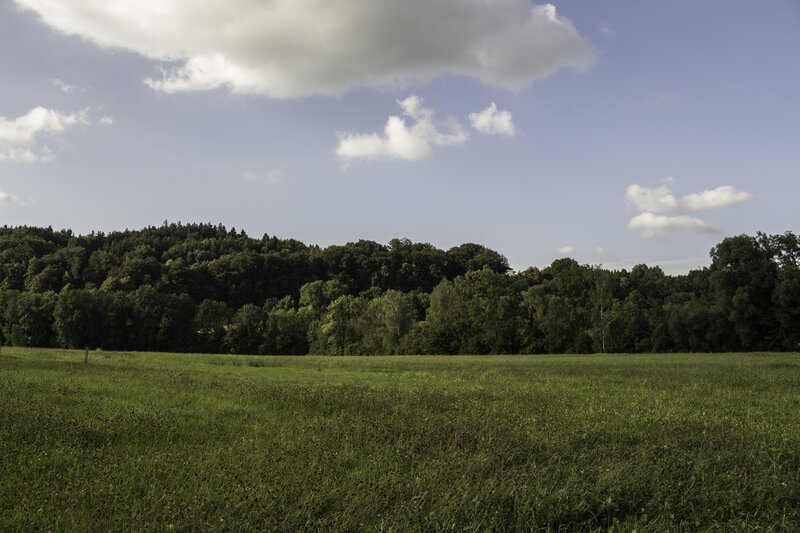 Green Field with Forest — Serene, Afternoon, Photograph, Clouds