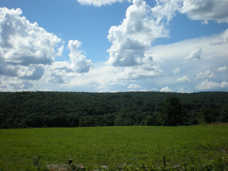 Green field with forested hill