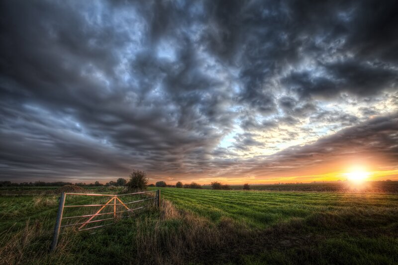 Green Field with Gate — Dramatic, Sunset, Photograph