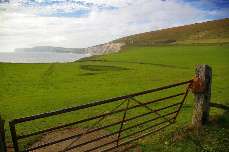 Green Field with Gate — Serene