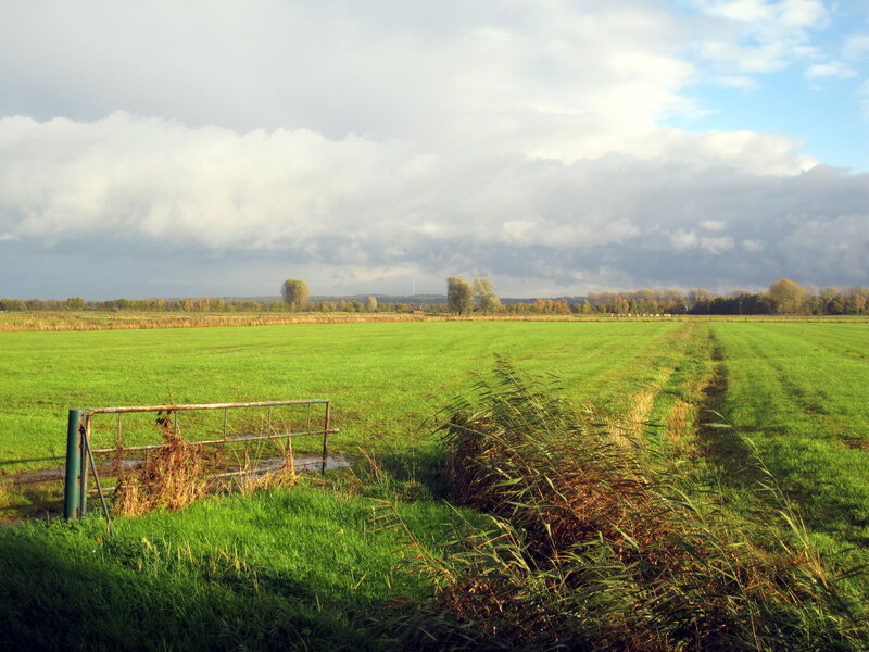 Green Field with Gate