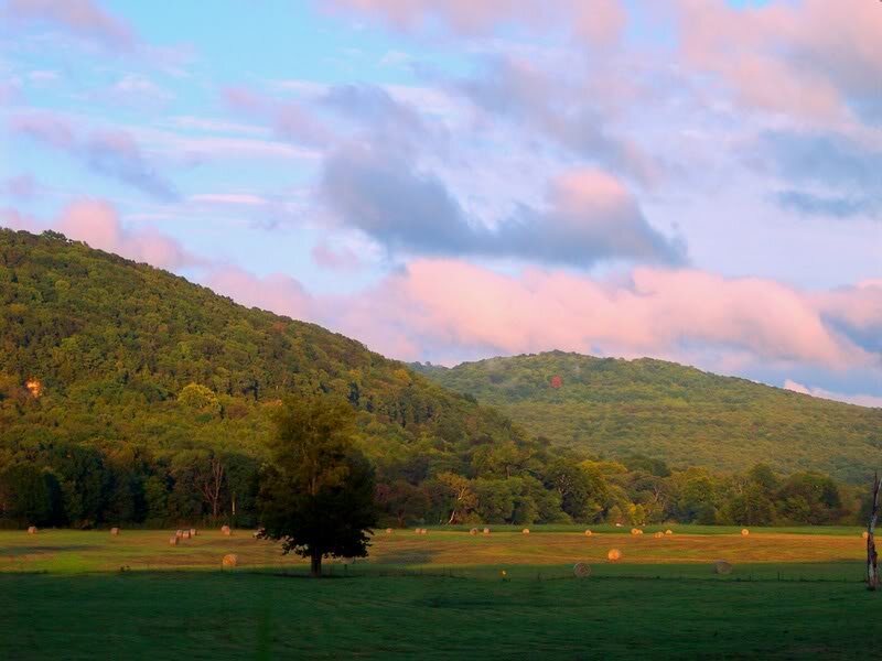 Green Field with Hay Bales — Serene, Sunset