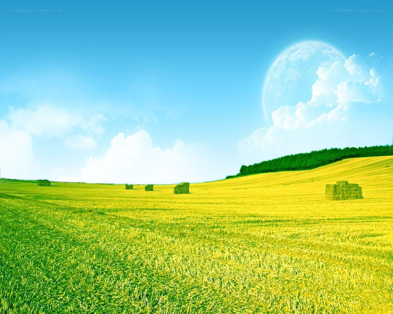 Green field with hay bales