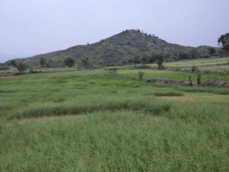 Green Field with Hill — Calm
