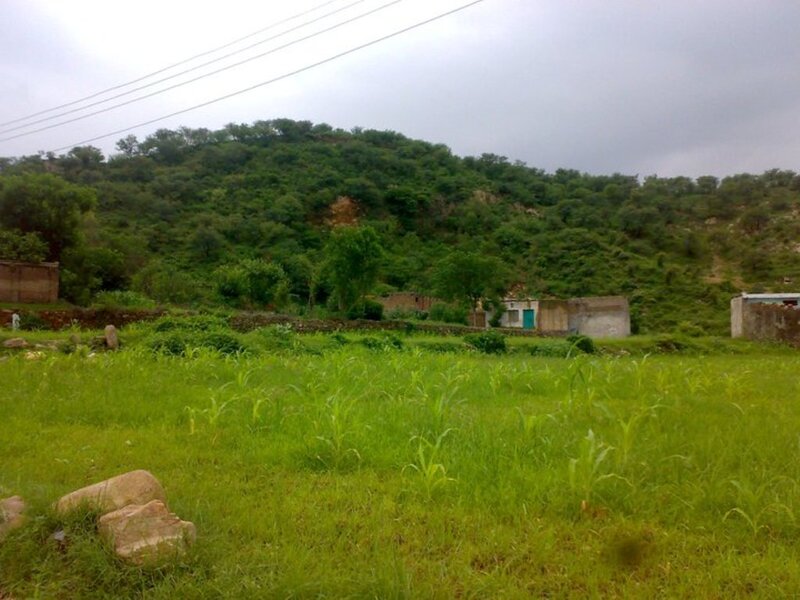 Green Field with Hill — Overcast