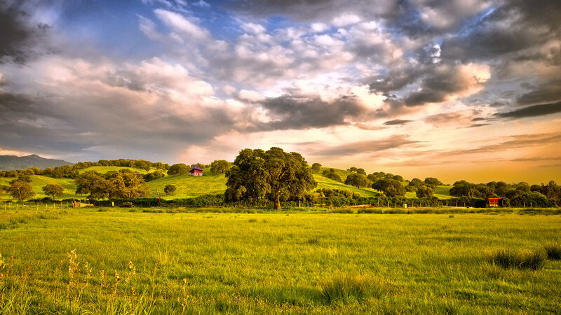 Green Field with Hill