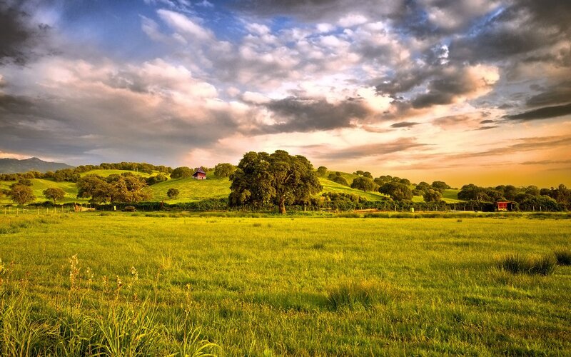 Green Field with Hills — Dramatic, Sunset, Photograph, Trees