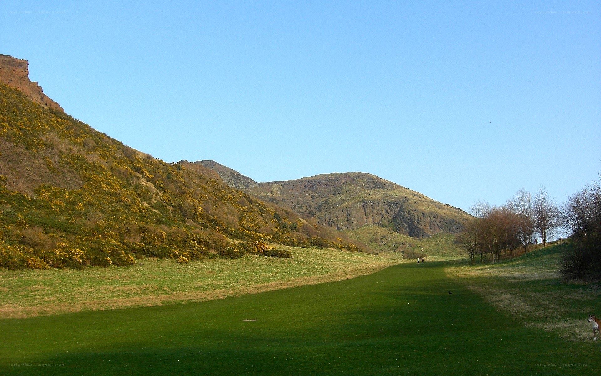 green field with hills in background