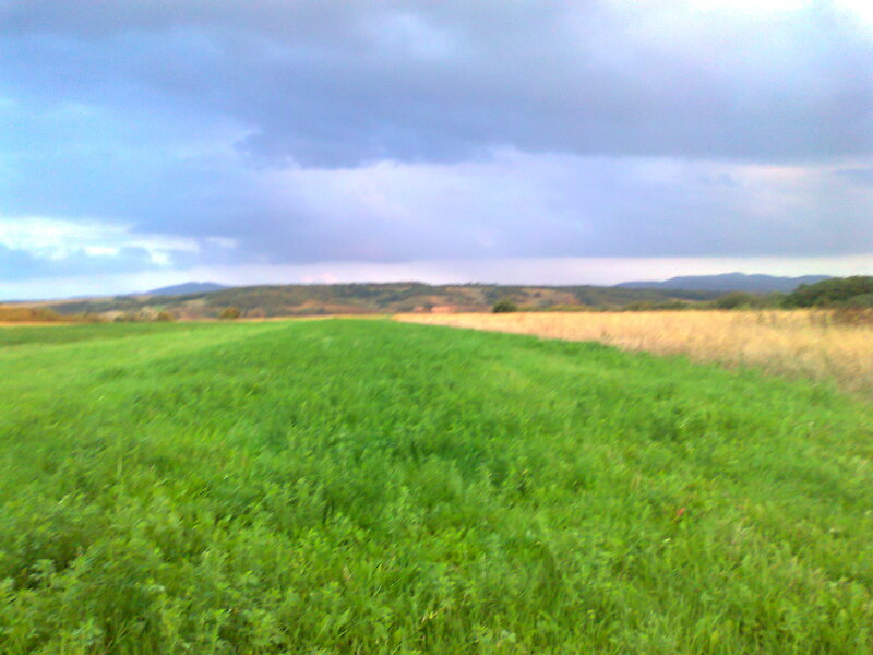 Green Field with Hills