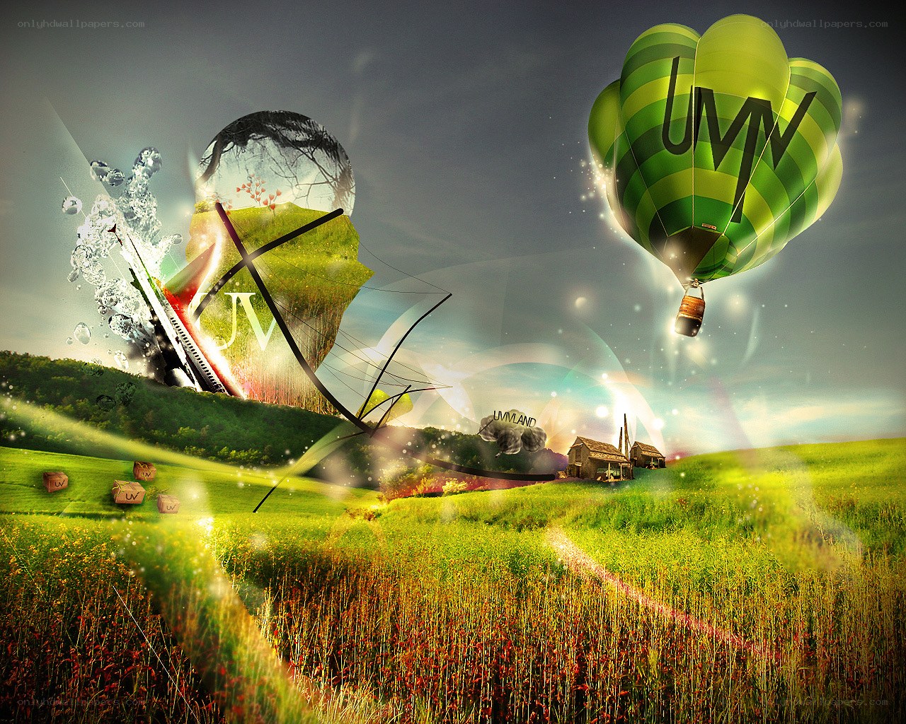 Green field with hot air balloon
