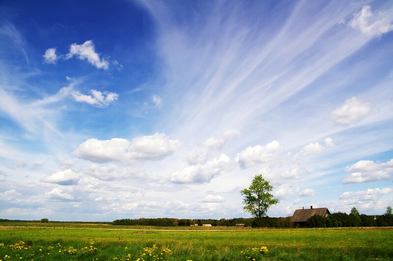 Green Field with House — Blue