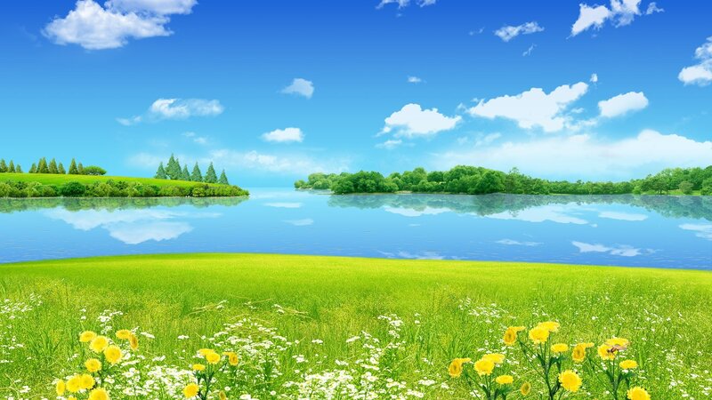Green Field with Lake — Blue, Serene, Afternoon, Digital Art, Flowers, Trees, Clouds