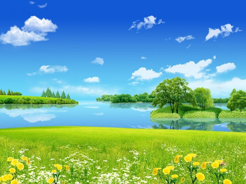 Green Field with Lake — Blue, Serene, Afternoon, Photograph, Trees