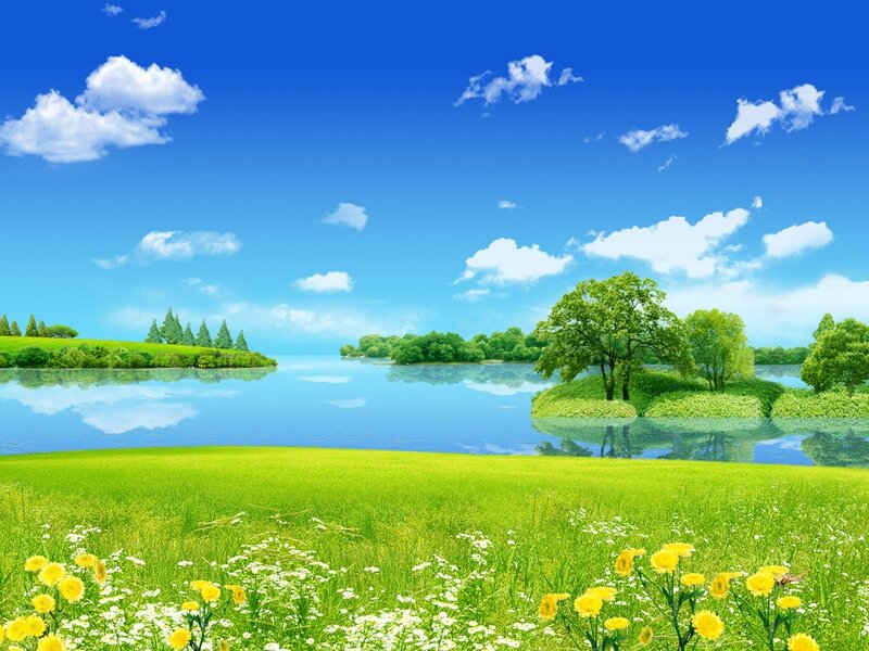 Green Field with Lake — Blue, Serene, Afternoon