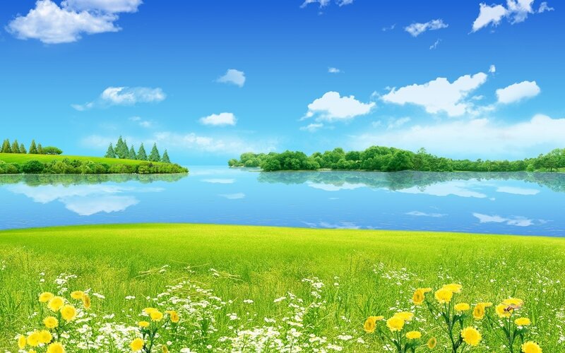 Green Field with Lake — Serene