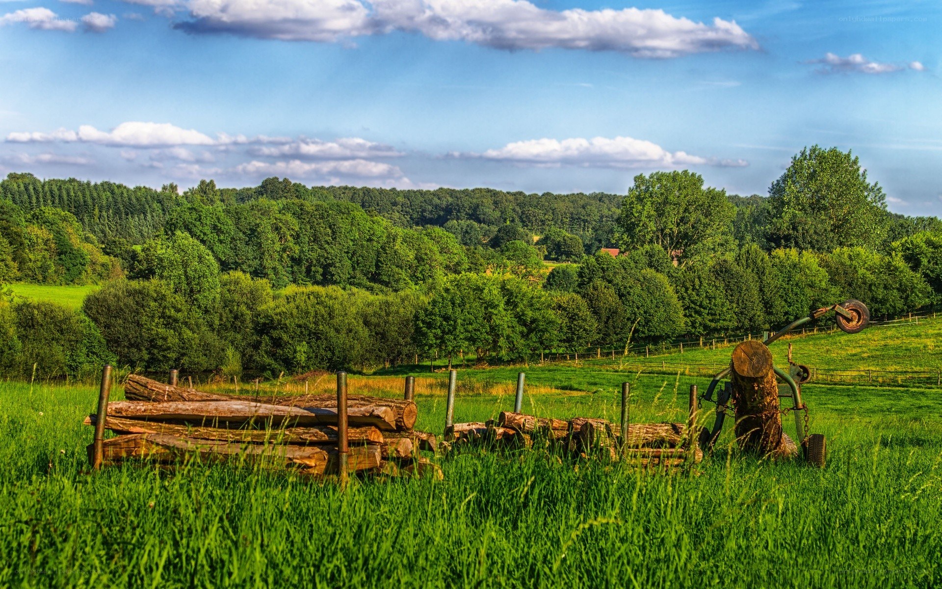 Green field with logs and machinery