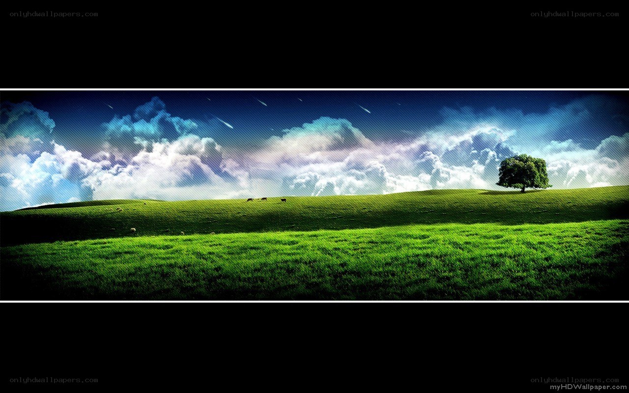 green field with lone tree