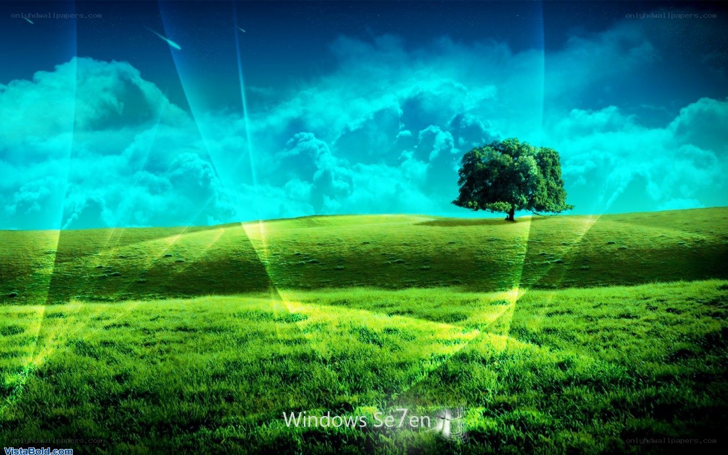 green field with lone tree