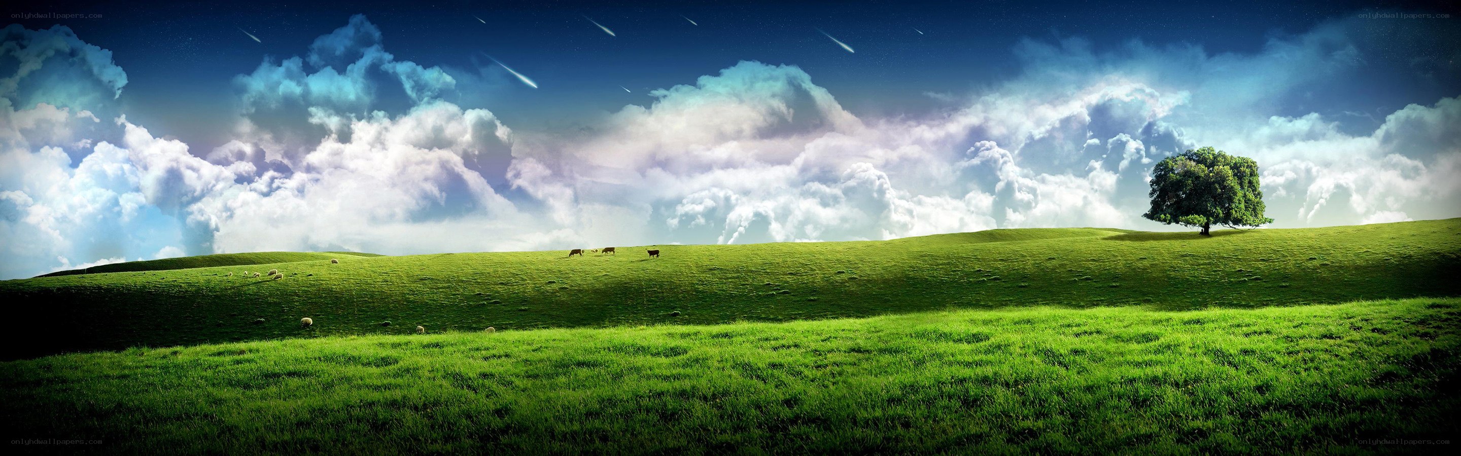 Green field with meteor shower