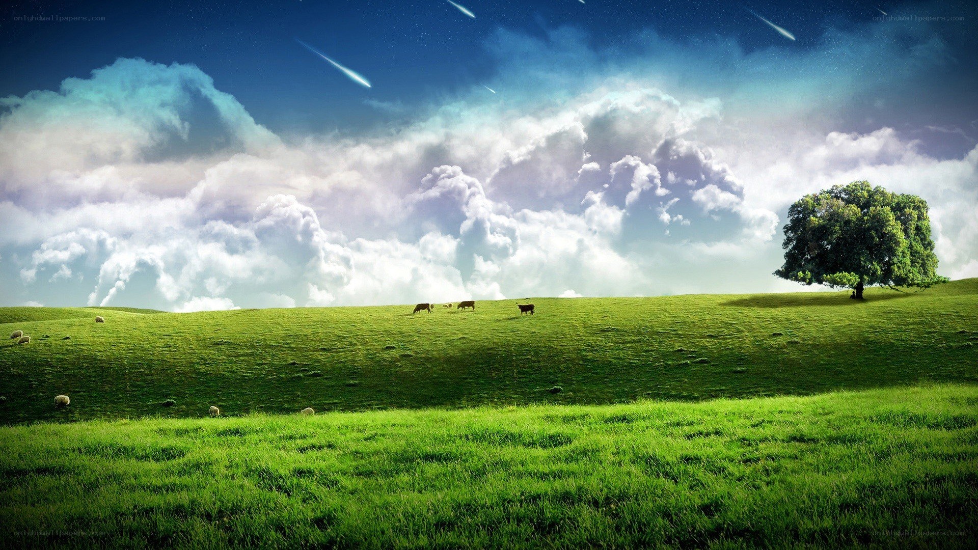 Green field with meteor shower