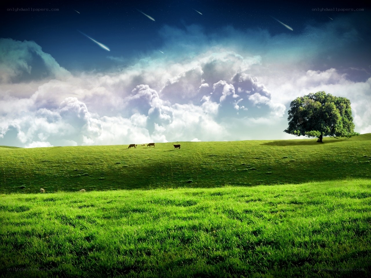 Green field with meteor shower