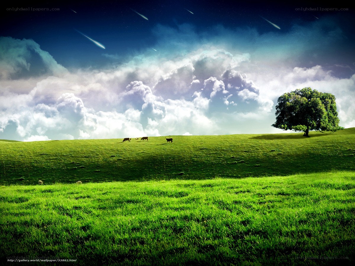 Green field with meteor shower