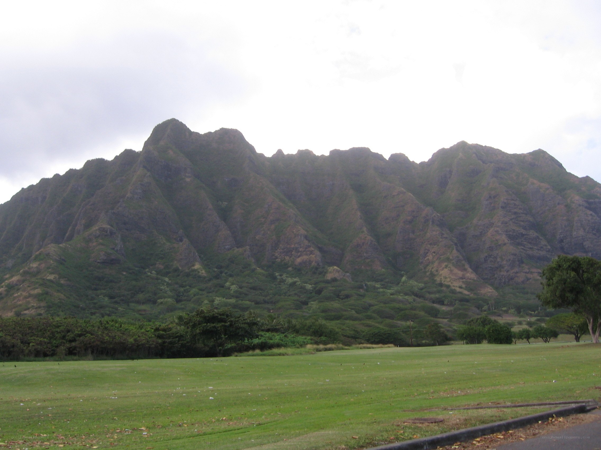 green field with mountain backdrop