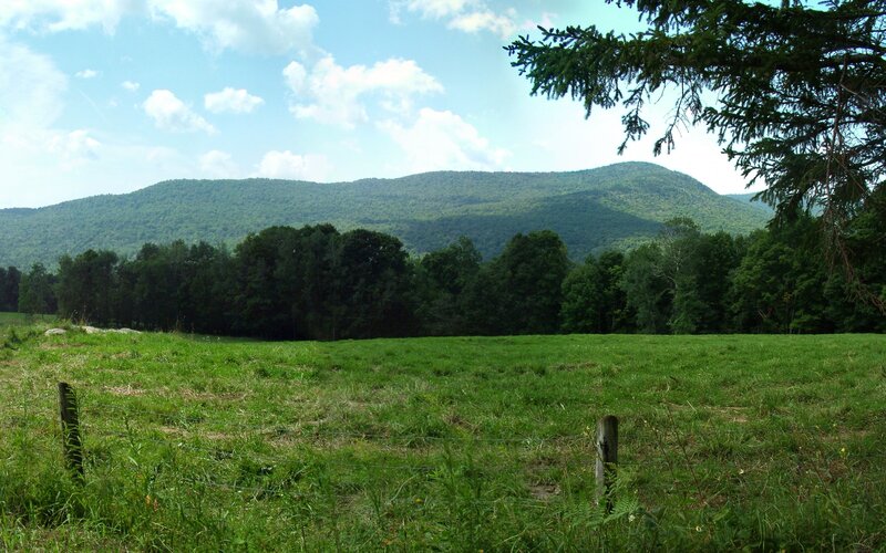 Green field with mountain view