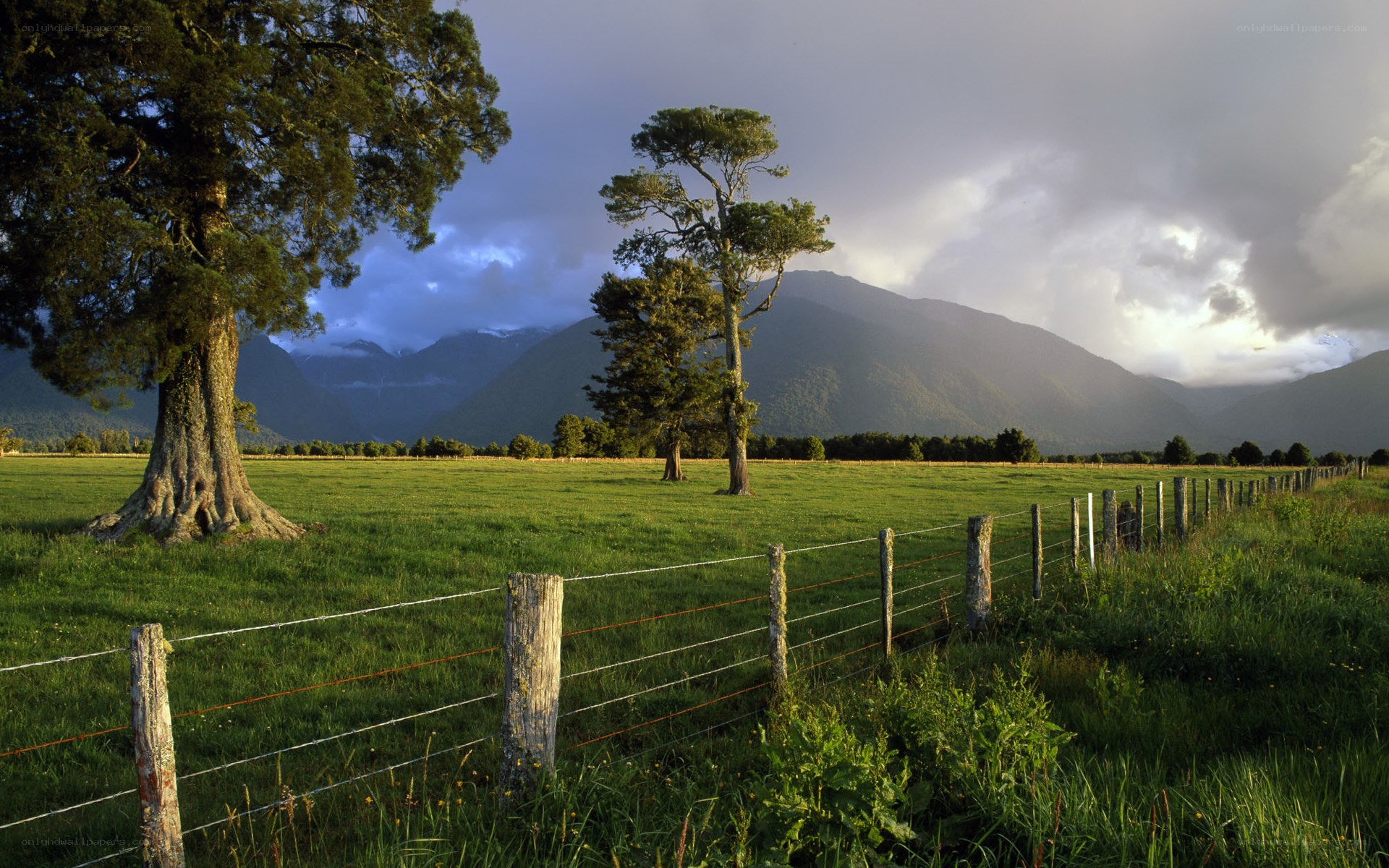Green field with mountains