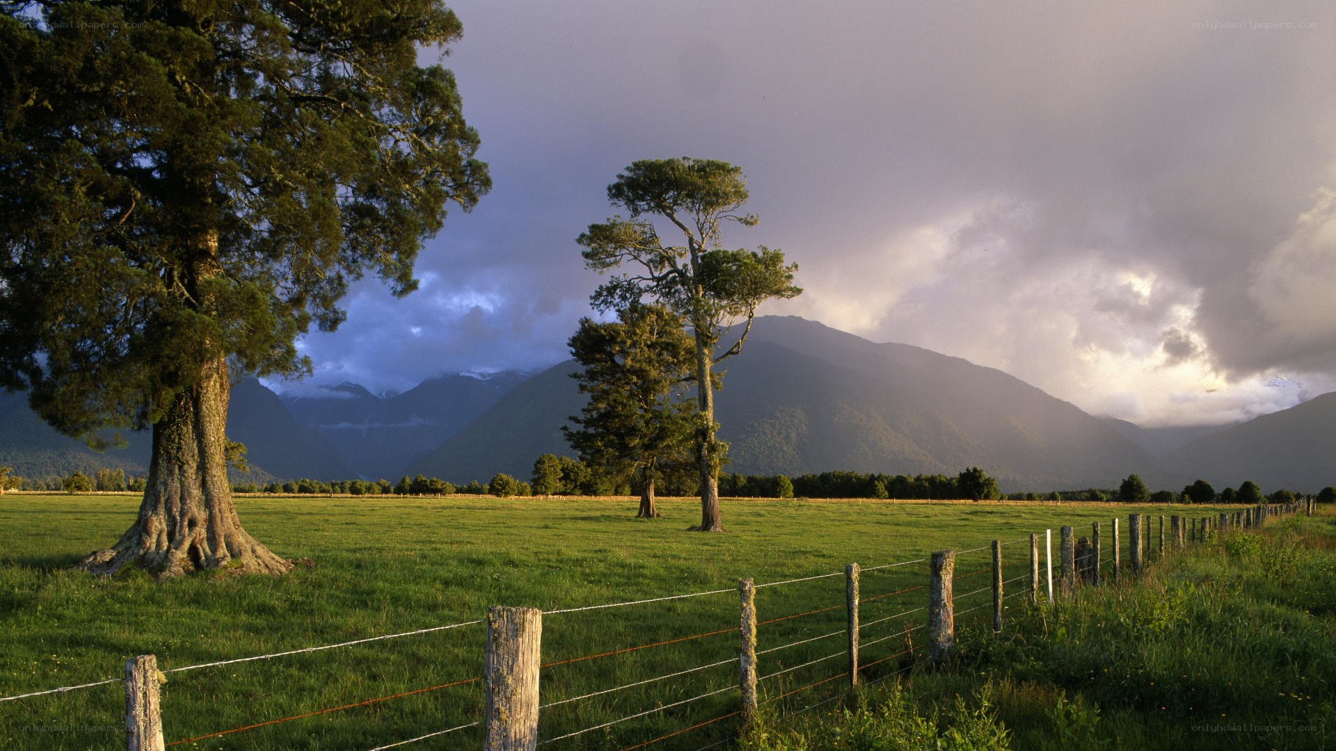 Green field with mountains