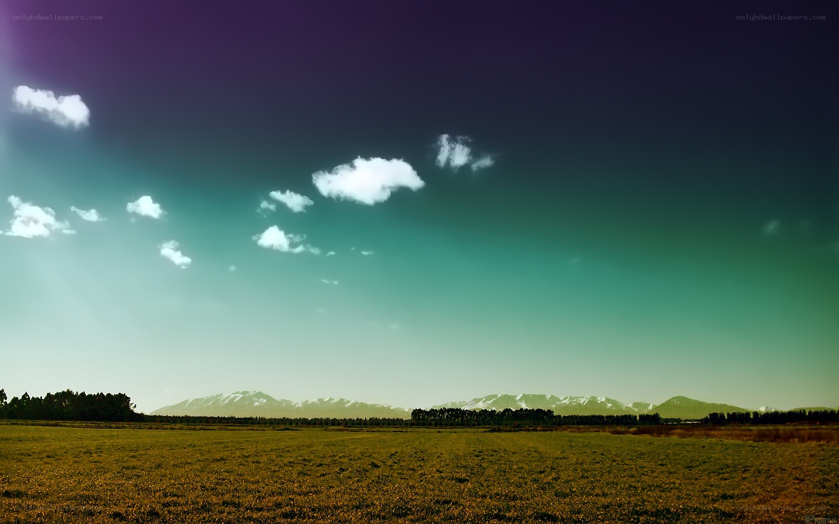 Green field with mountains