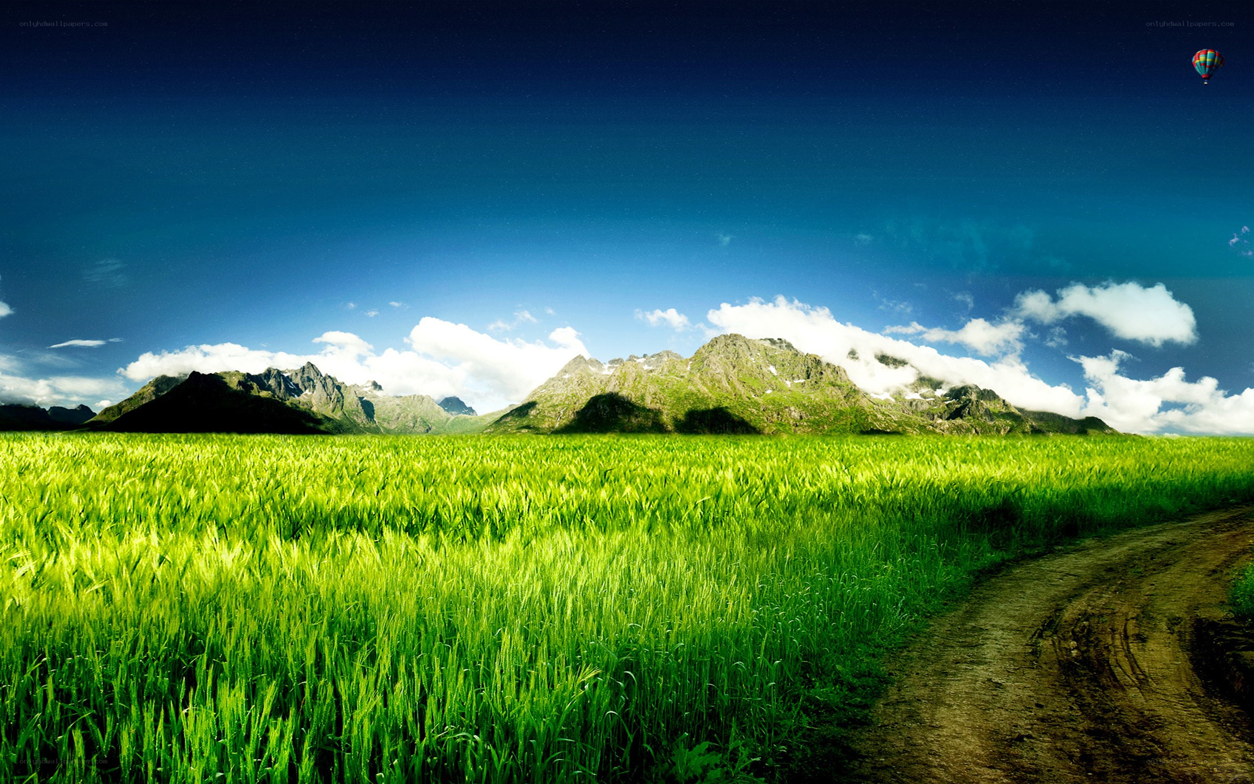 Green field with mountains