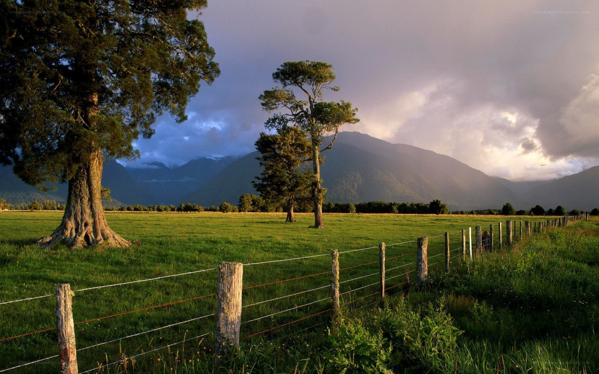 Green field with mountains