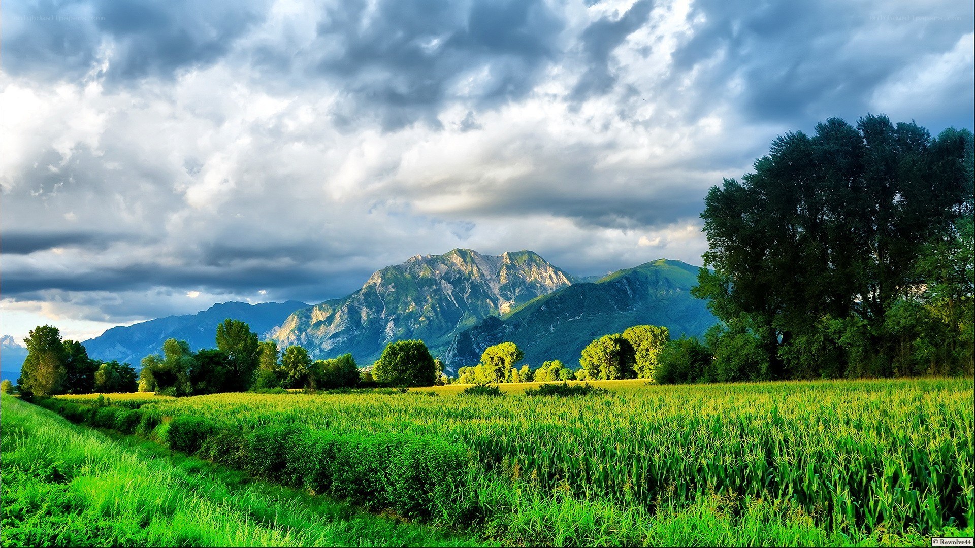 Green field with mountains
