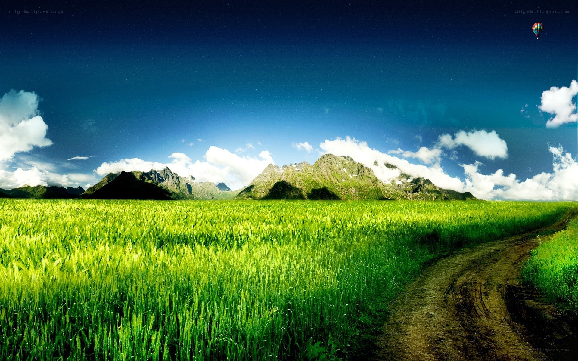Green field with mountains