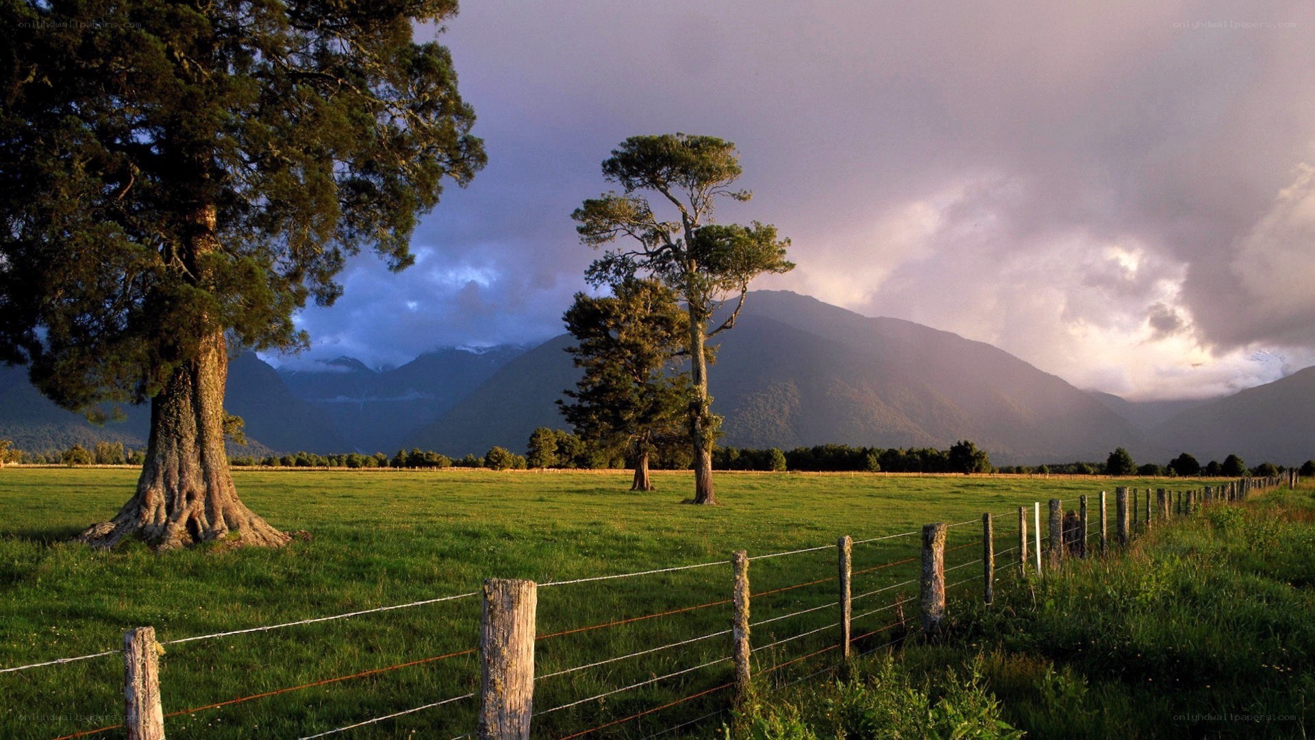 Green field with mountains
