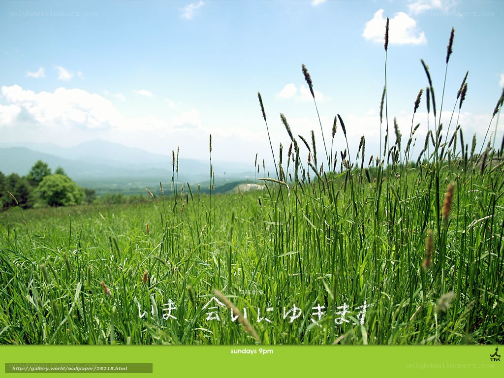Green field with mountains
