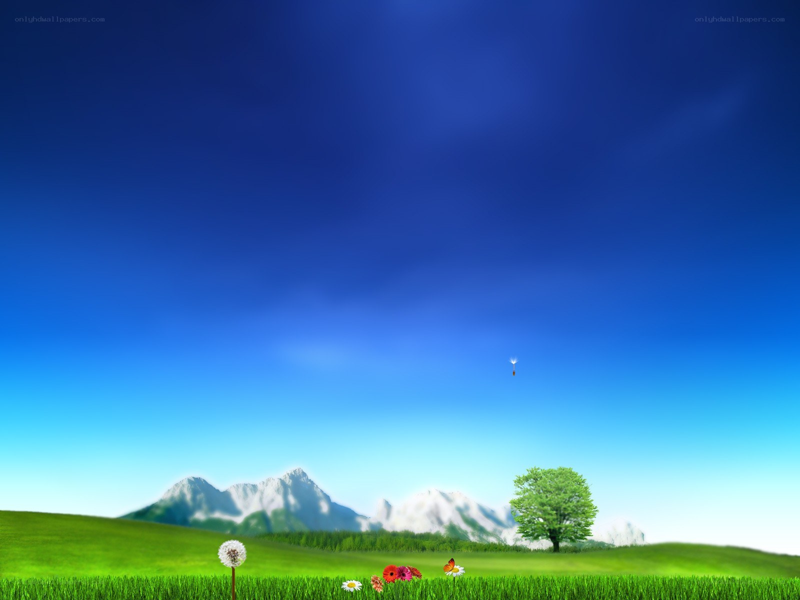 Green field with mountains