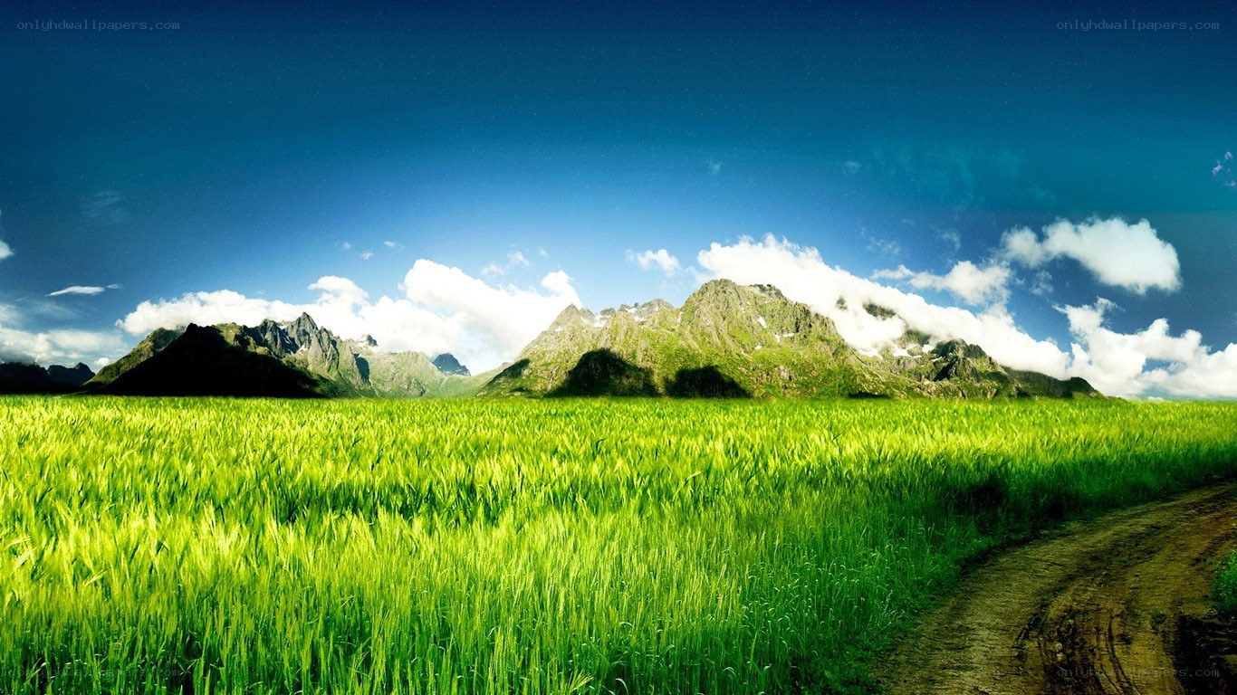 Green field with mountains