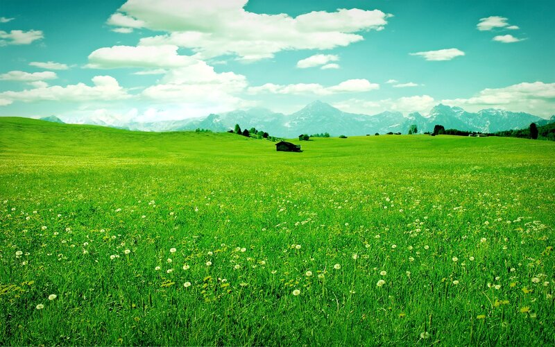 Green field with mountains